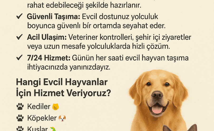 korsan taksi pet taşıma
